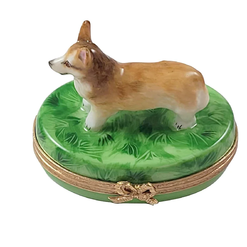 Corgi Dog