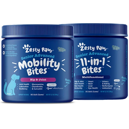 Senior Mobility Bites + 11-in-1 Bites