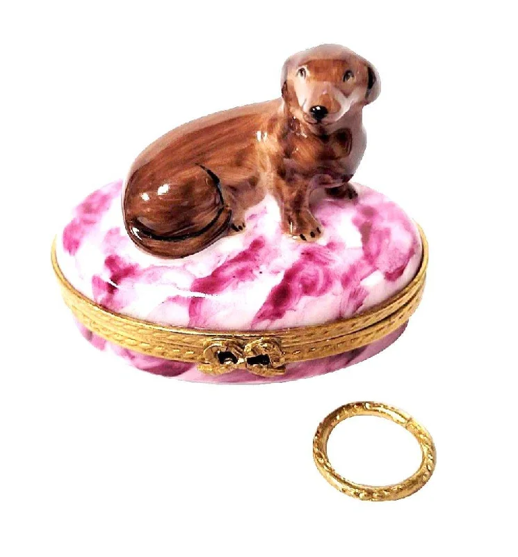 Dachshund with Removable Brass Dog Collar