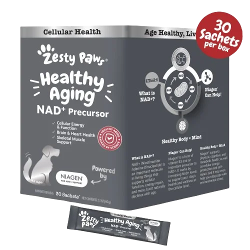 Healthy Aging Niagen Powder for Dogs