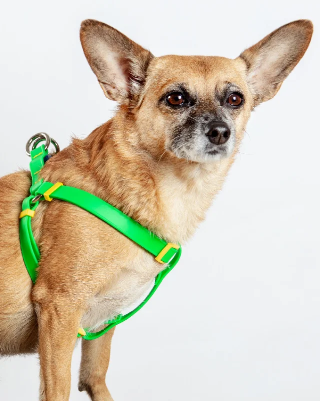 A Walk in the Park Dog Harness (Made in the USA) (FINAL SALE)