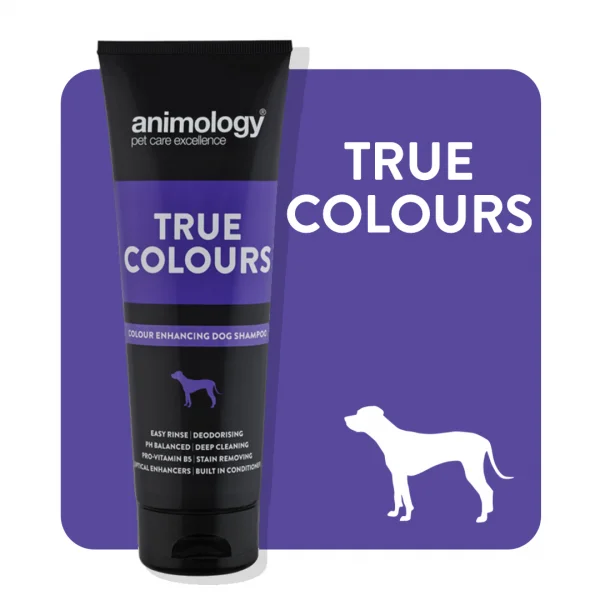 ANIMOLOGY TRUE COLOR