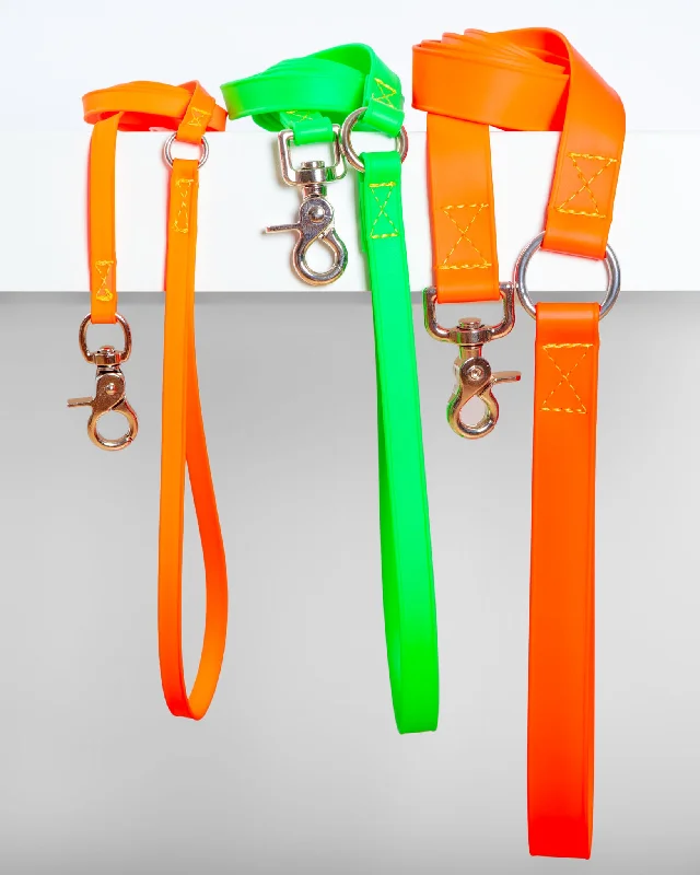 A Walk in the Park Dog Leash (Made in the USA)