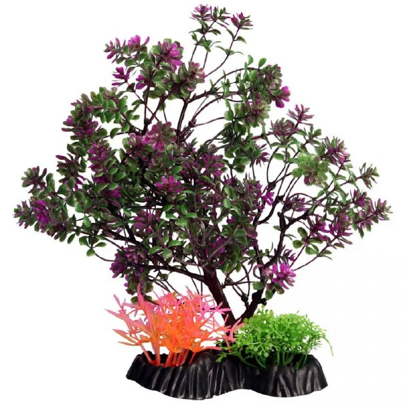 ECOSCAPE PURPLE CATSPAW TREE