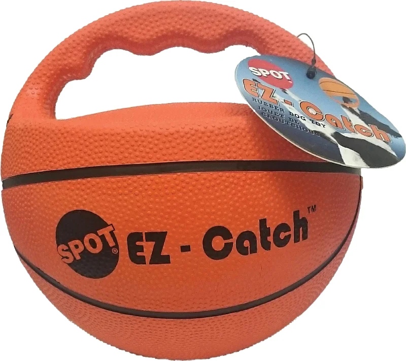 Ez Catch Ball