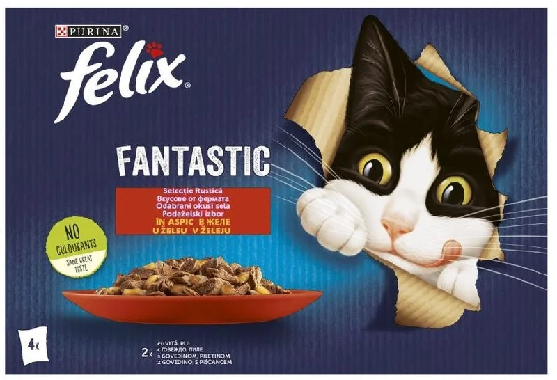 FELIX Fantastic Pachet plicuri pentru pisici, cu Pui şi Vită 4x85g