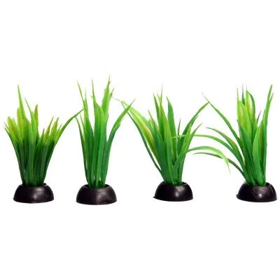 ECO SCAPE LILAEOPSIS 4PK