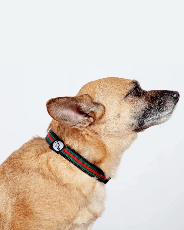 Luxe Green & Red Stripe Dog Collar (Made in NYC)