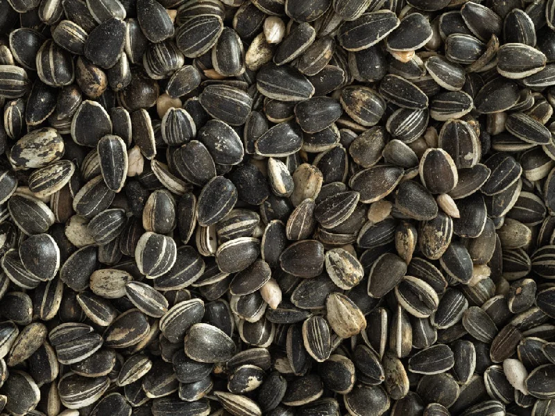 NZ SUNFLOWER SEED