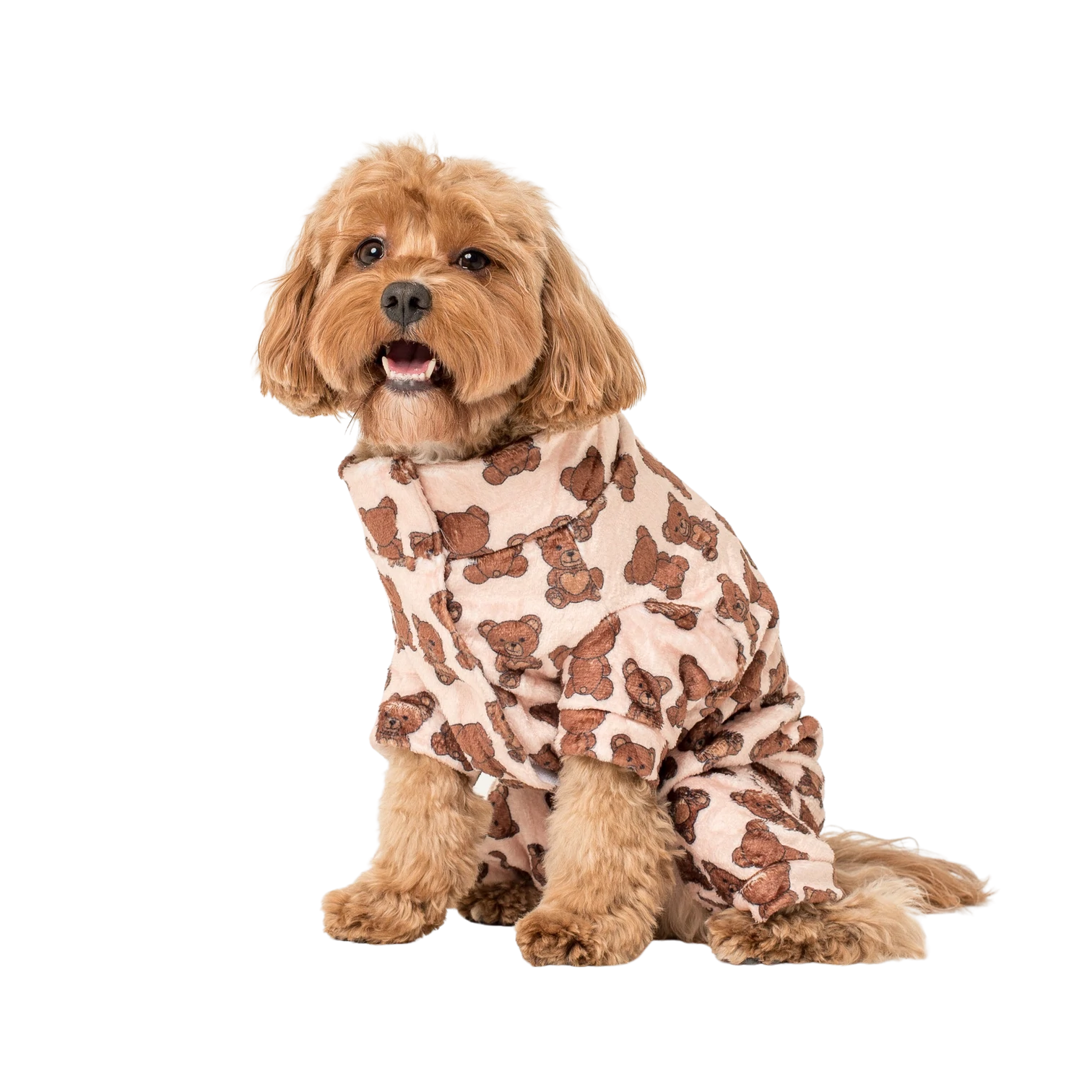 Pablo & Co Dog Onesie Teddy Bears Picnic