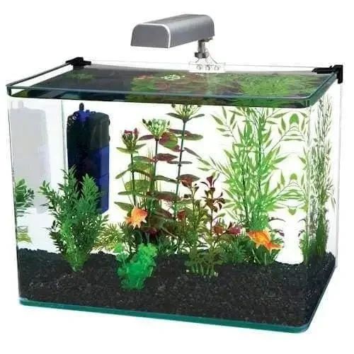 Radius 5 Gallon Glass Aquarium Kit