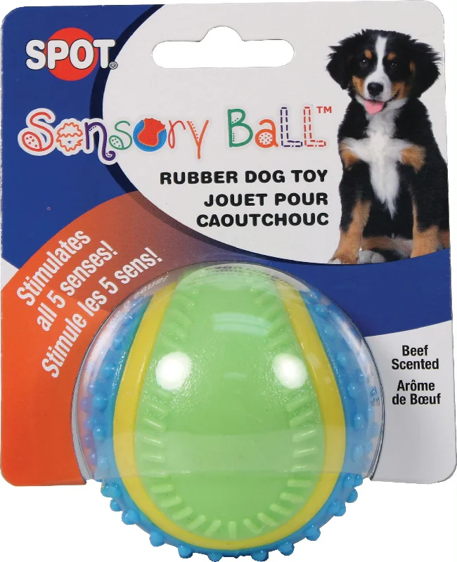 Sensory Ball Rubber Dog Toy)