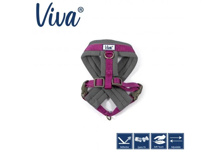 Ancol - Viva Nylon Padded Harness - Purple - Medium (41-53cm)